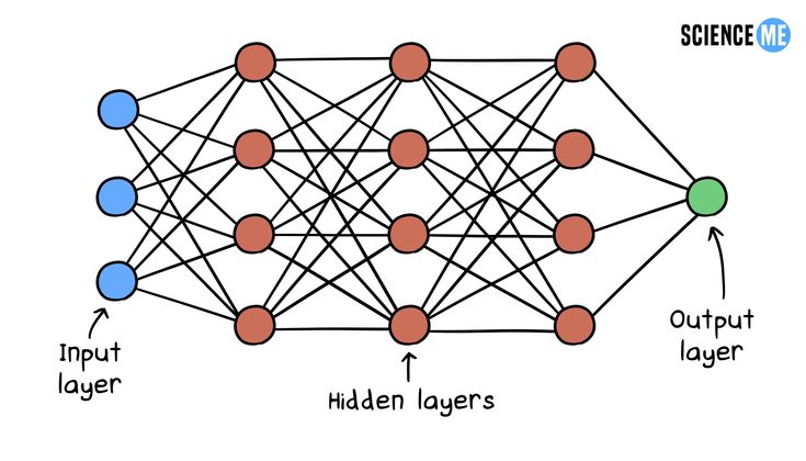 Neural Network